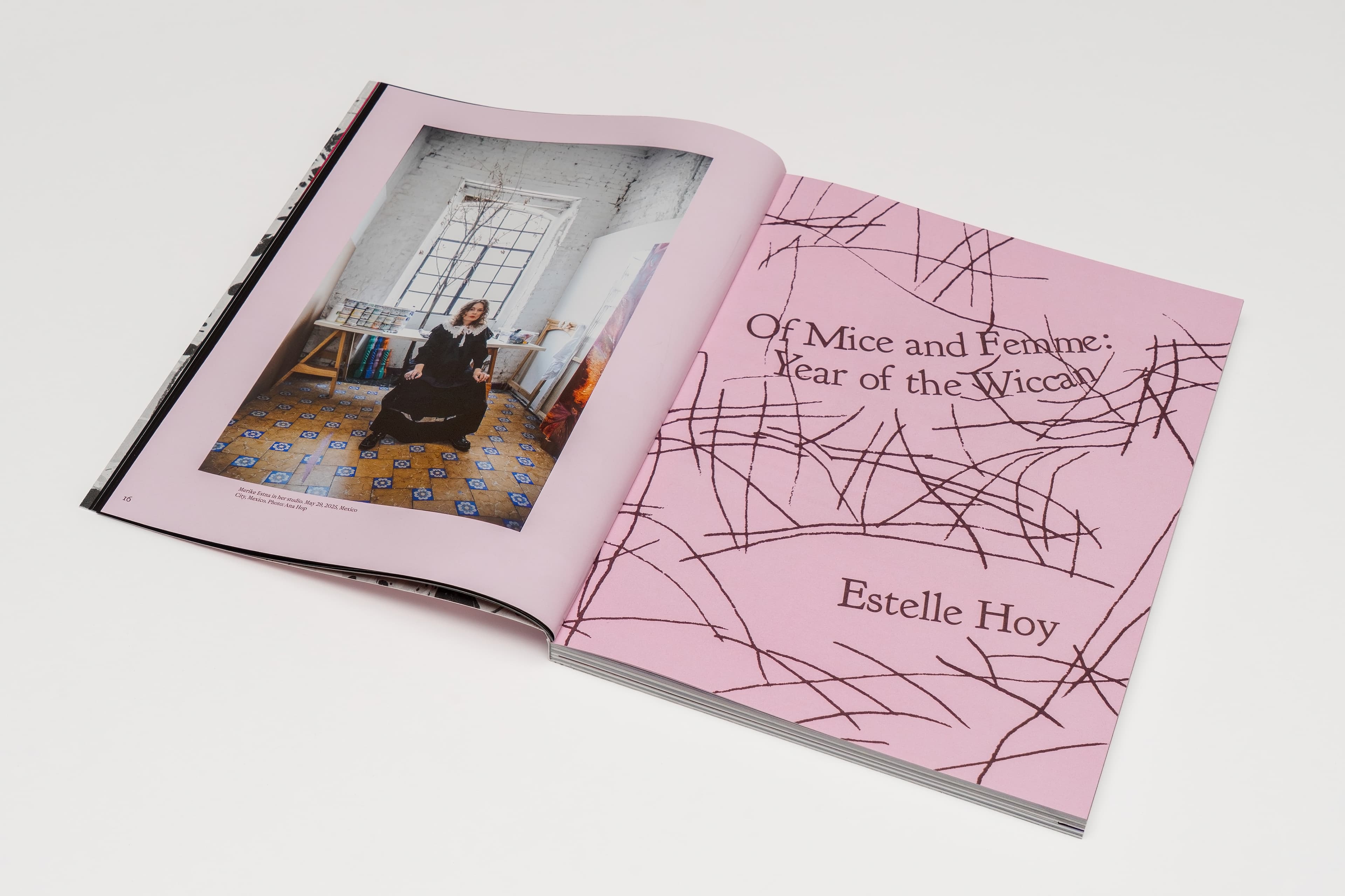 Artist Book