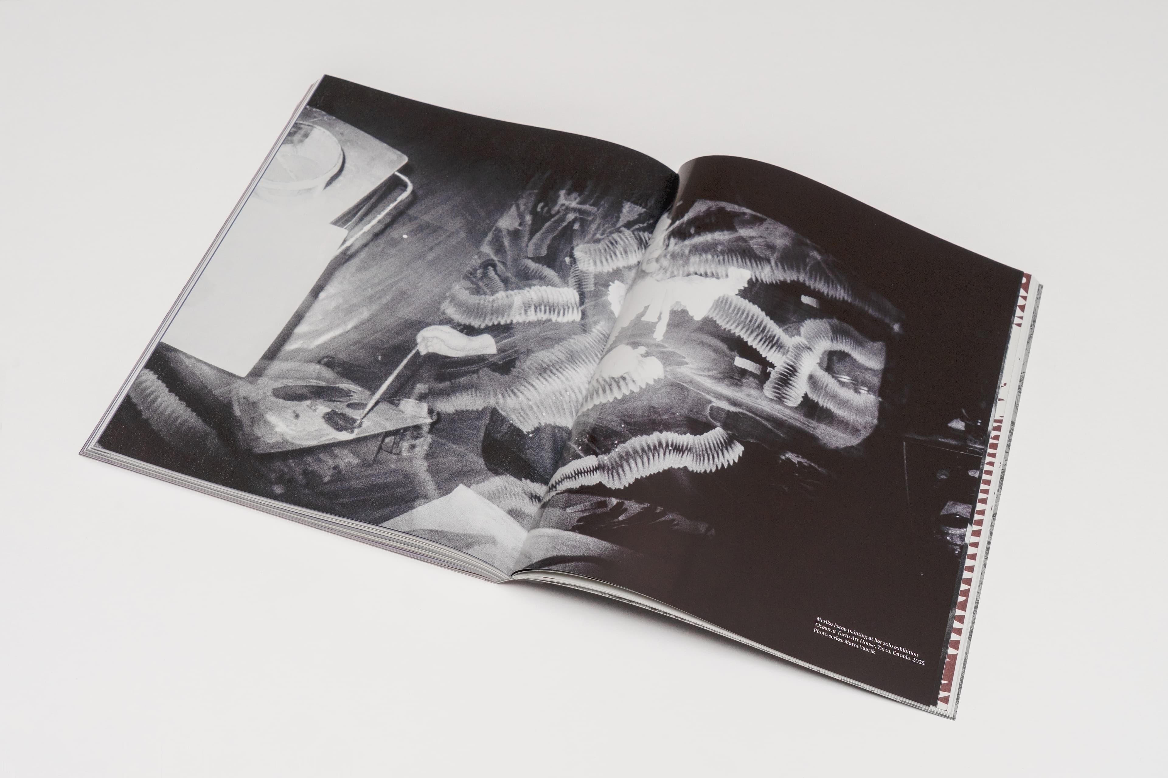 Artist Book